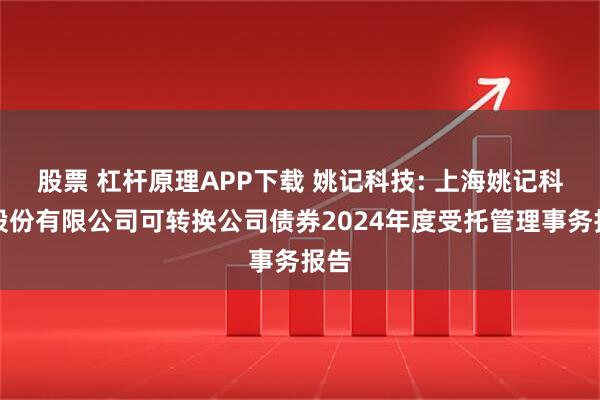 股票 杠杆原理APP下载 姚记科技: 上海姚记科技股份有限公司可转换公司债券2024年度受托管理事务报告