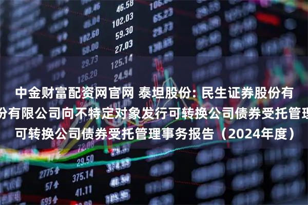 中金财富配资网官网 泰坦股份: 民生证券股份有限公司关于浙江泰坦股份有限公司向不特定对象发行可转换公司债券受托管理事务报告（2024年度）