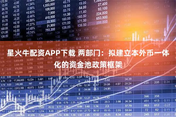 星火牛配资APP下载 两部门：拟建立本外币一体化的资金池政策框架
