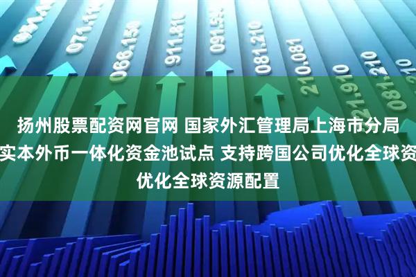扬州股票配资网官网 国家外汇管理局上海市分局积极落实本外币一体化资金池试点 支持跨国公司优化全球资源配置