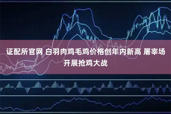 证配所官网 白羽肉鸡毛鸡价格创年内新高 屠宰场开展抢鸡大战